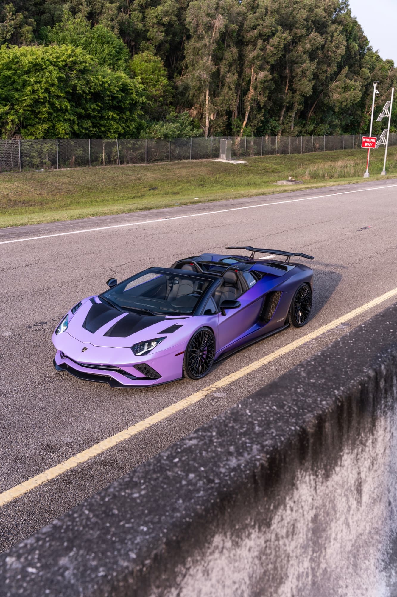 Lamborghini Aventador S Roadster overhead rear 3/4 with wing