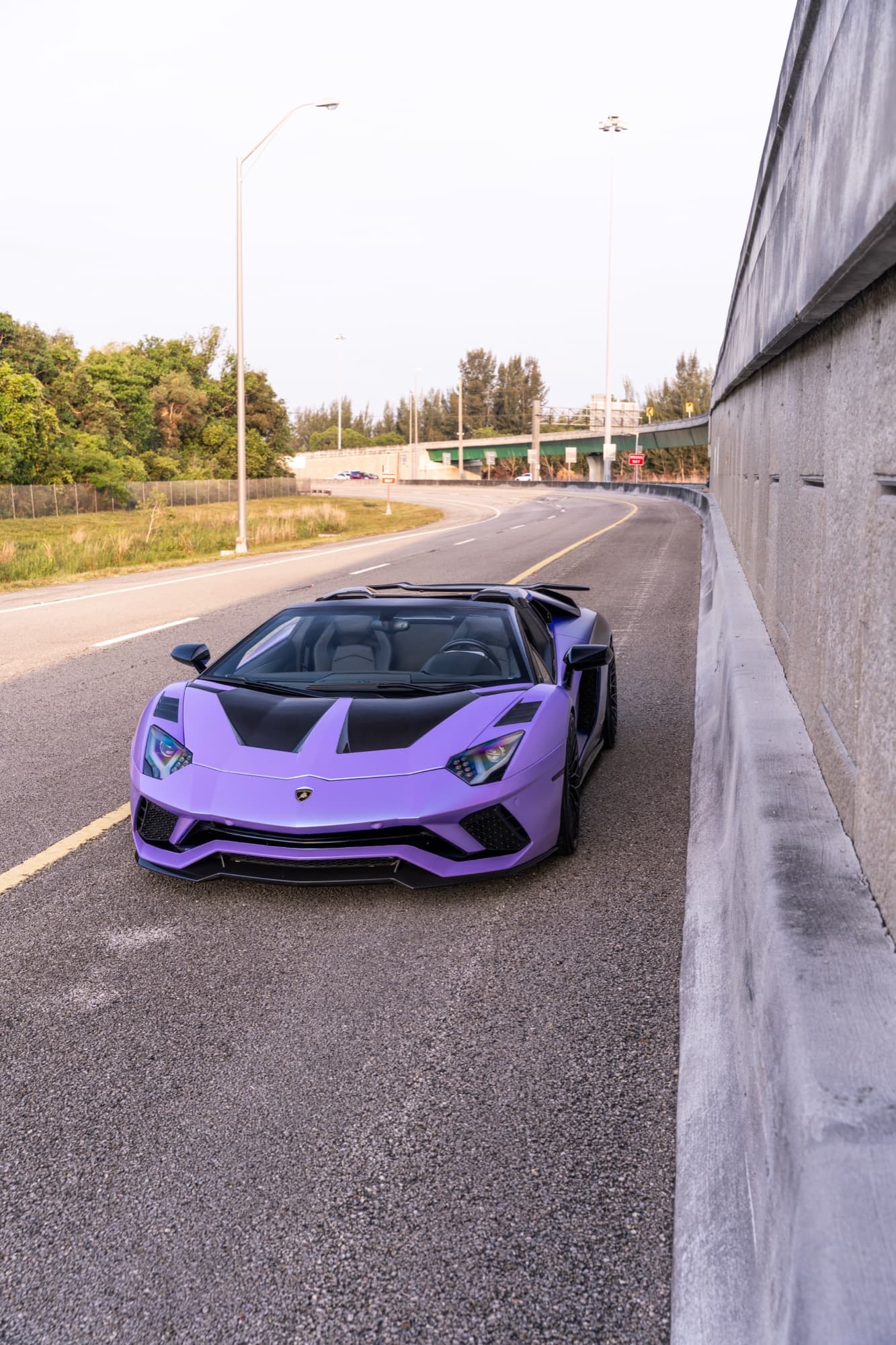Lamborghini Aventador S Roadster